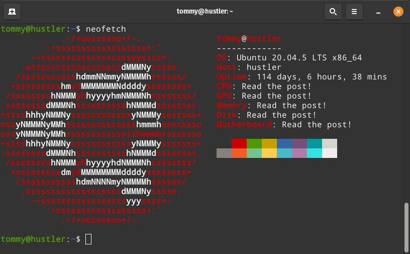 Neofetch pic